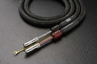 7NX - AIC X1 RCA Premium